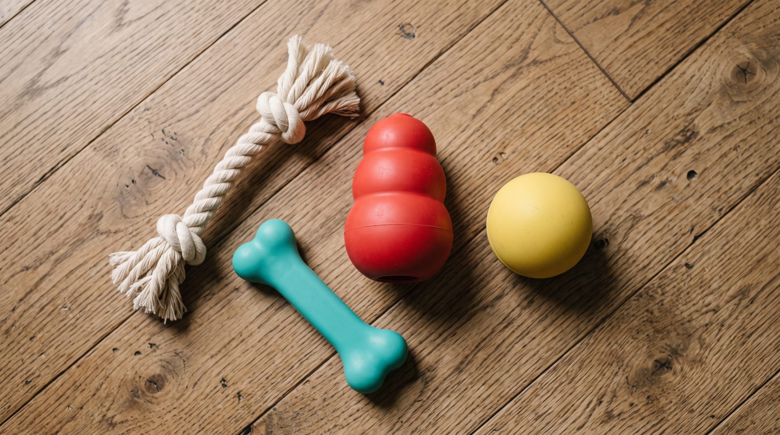 Dog lying on the floor with a variety of chew toys spread around it